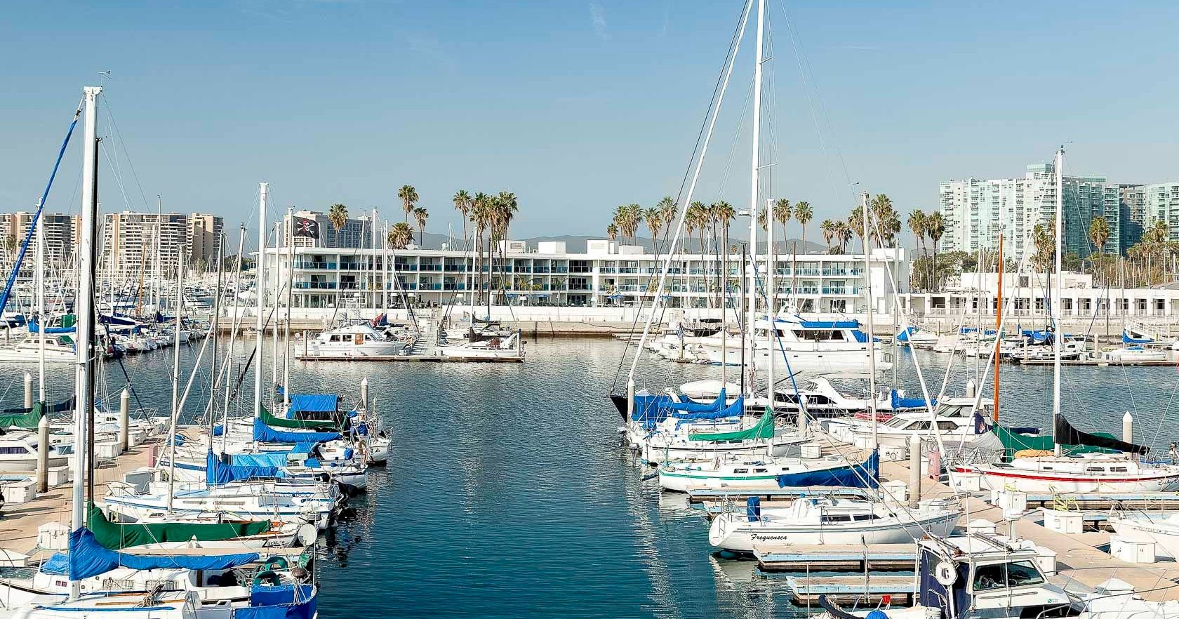A marina with numerous small sailboats docked, calm blue water, clear sky, row of palm trees and modern buildings in the background.