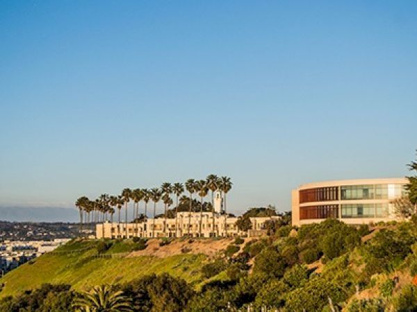 A coastal hillside with modern buildings and a line of palm trees overlooking the sea, under a clear blue sky.