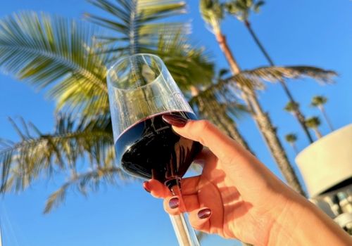 A hand holds a glass of red wine outdoors with palm trees against a blue sky, as if cheers to a sunny day.