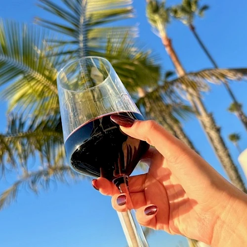 A hand holds a glass of red wine outdoors with palm trees against a blue sky, as if cheers to a sunny day.