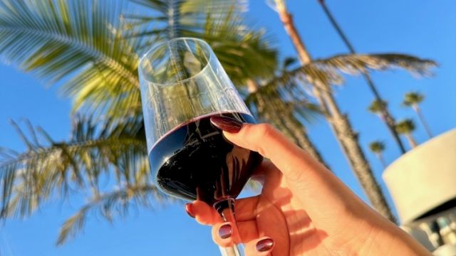 A hand holds a glass of red wine outdoors with palm trees against a blue sky, as if cheers to a sunny day.