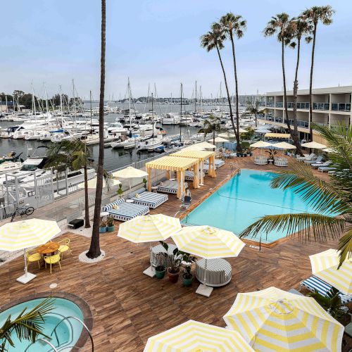 A sunny resort-style pool area with lounge chairs, umbrellas, palm trees, and a clear blue sky, perfect for relaxation.