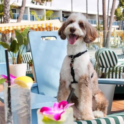 Marina Del Rey Hotel